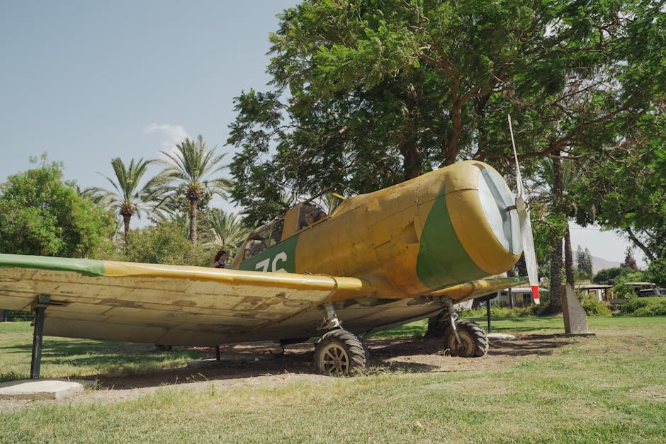 A vintage aircraft with military markings grounded in a lush park with palm trees.